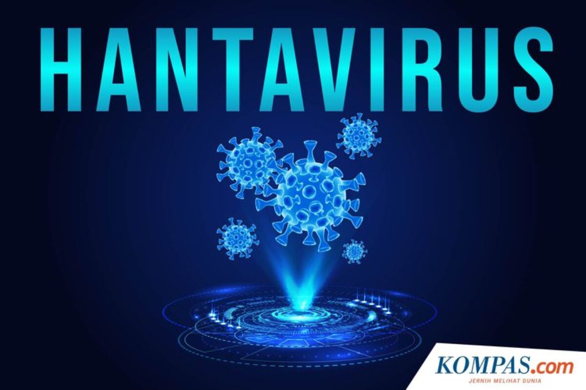 Wabah Hantavirus Berbeda Dengan Pandemi Covid 19, Ini Alasannya