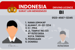 [POPULER TREN] Cara Buat dan Perpanjang SIM secara Online | Bisakah Hantavirus Jadi Pandemi?