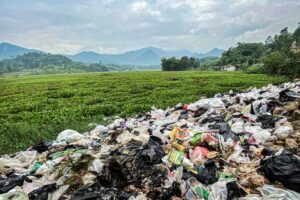 Tumpukan Sampah Picu Eceng Gondok Selimuti 94 Hektare Waduk Saguling, Ancam Ekosistem dan Produksi Energi