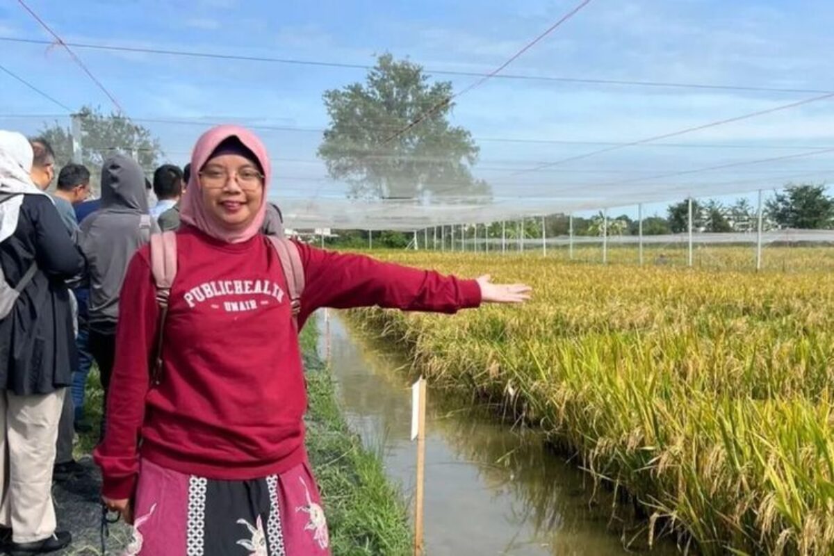 Epidemiolog Unair Sebut Tingkat Kematian Hantavirus 50 Persen, Begini Cara Penularannya