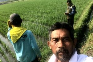 Petani Blitar: Penurunan Harga Pupuk Subsidi Tekan Risiko Kerugian