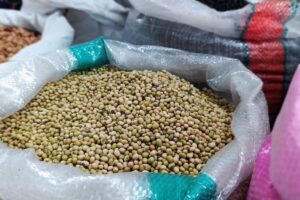 Ditinggalkan Petani, Lahan Kedelai di Ponorogo Menyusut dari 30.000 Jadi 351 Hektar